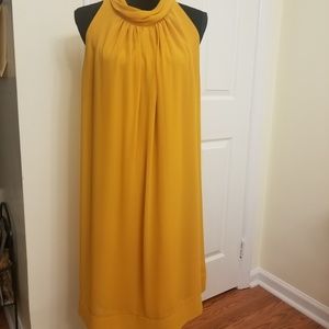 NY & Company Eva Mendes dress